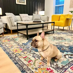 https://newhome3beds2-5bathgameroom116.nashville-hotels.org